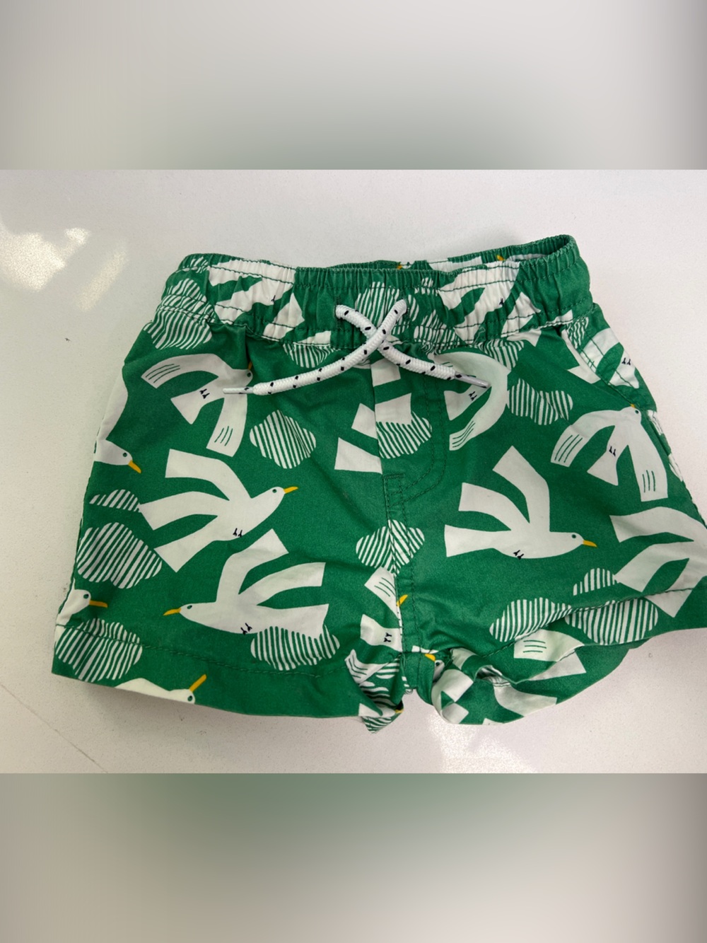 Seed Heritage Green Seagull Print Kids Shorts